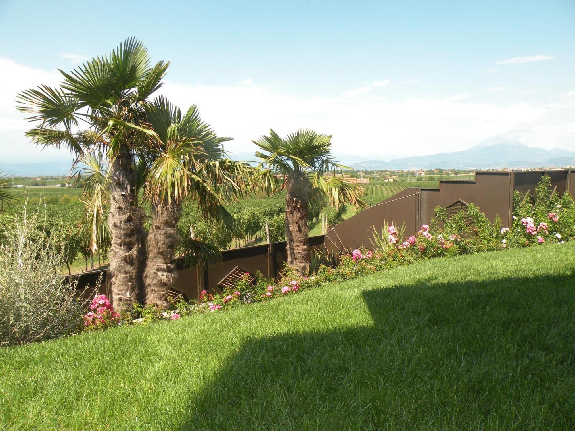 Sweet Life Bed and Breakfast Peschiera del Garda Eksteriør billede